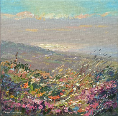 MARK PRESTON - evening light, rosewall hill
